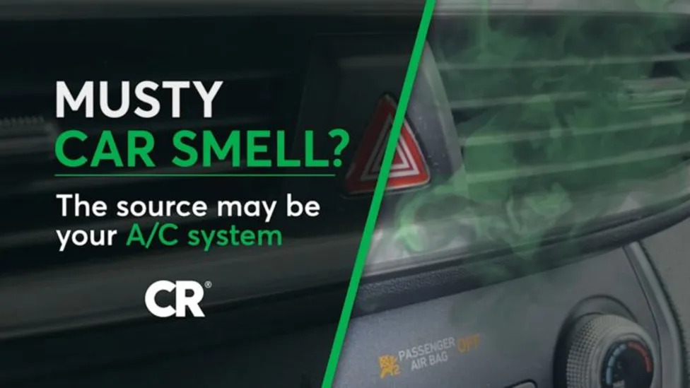 Do you have a musty smell in your car? It's probably your A/C. How to fix it...