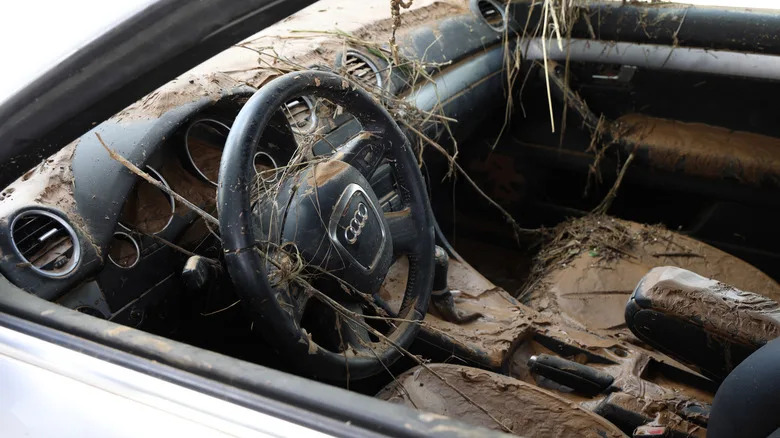 Shelby Cobra Buyer Quickly Learns Why Flooded Cars Sell For So Cheap