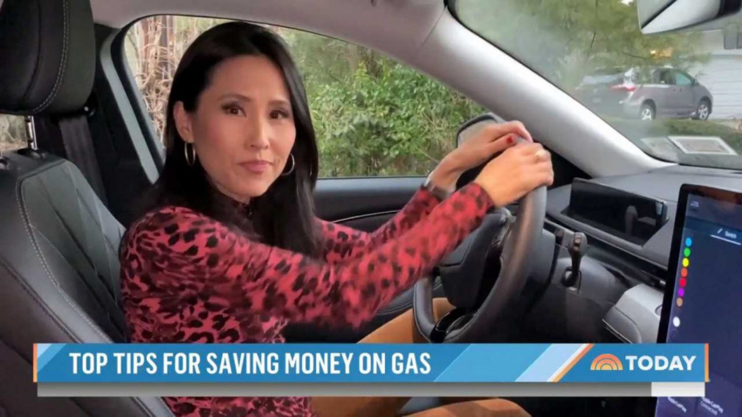 autos, cars, how to, today show host gives tips on how to save gas... in an ev