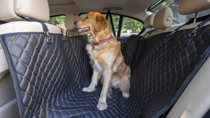 amazon, the best dog car seat covers to keep your pet safe and comfy on road trips