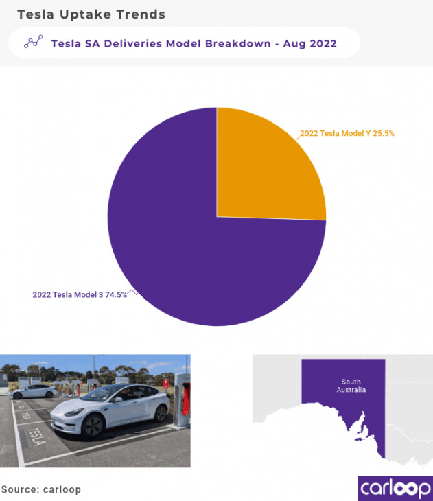 tesla ev fleet jumps by 10% in south australia