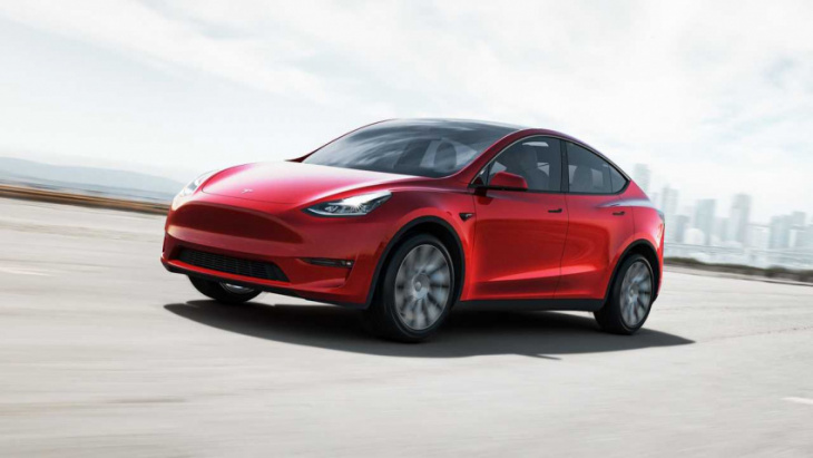 tesla and ford have high brand loyalty: what about new customers?