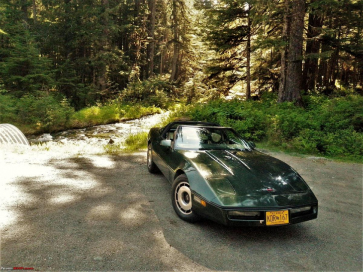 my c4 corvette project: 1-year ownership experience