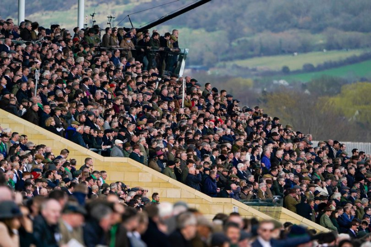 horse racing crackdown as whip rules to be introduced in time for cheltenham festival