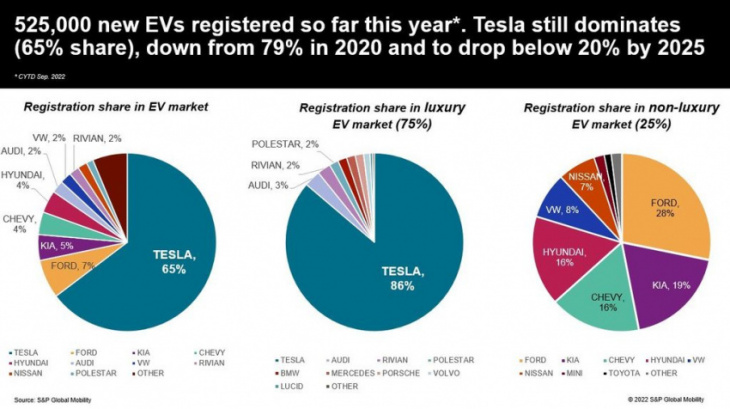 tesla leads ev market share, but rivals' cheaper models are gaining