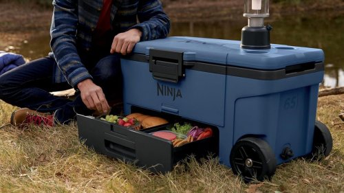 Labor Day Green Deals hub - EVs, power stations, tools, smart devices, more