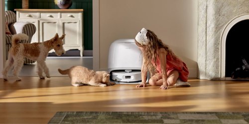 Labor Day Green Deals hub - EVs, power stations, tools, smart devices, more