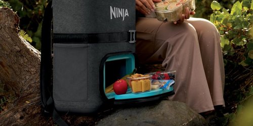 Memorial Day Green Deals hub - EVs, power stations, electric tools, devices, and much more