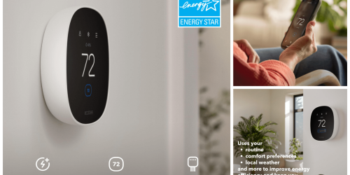 Labor Day Green Deals hub - EVs, power stations, tools, smart devices, more