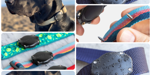 Fall Prime Day 2026 Green Deals: EVs, power stations, electric tools, smart devices, and much more