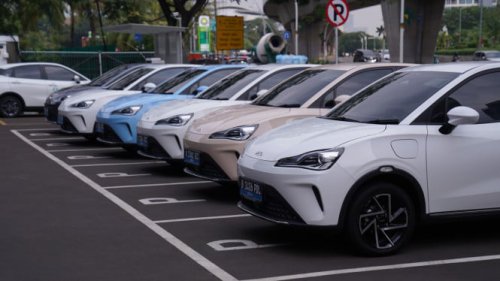 Nasib Neta di Ujung Tanduk