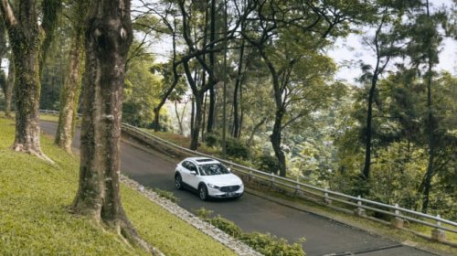 Mobil SUV Ini Alami Penurunan Penjualan!