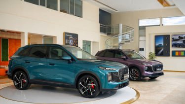 Indonesia Jadi Titik Awal Ekspansi Global Lepas