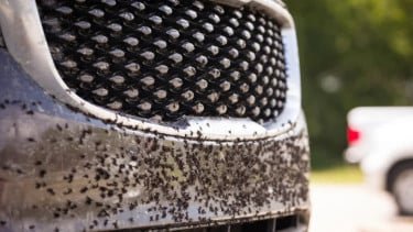 Grille Mobil Sering Kotor? Ini Cara Mudah Membersihkannya