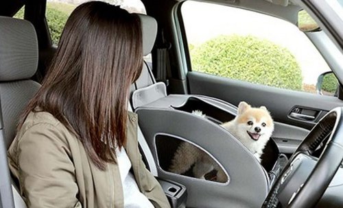 Honda Built The ZR-V’s Teeth In, Then Sold You A Kit To Pull Them Out