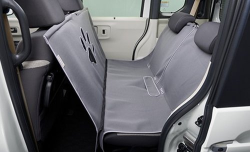 Honda Built The ZR-V’s Teeth In, Then Sold You A Kit To Pull Them Out