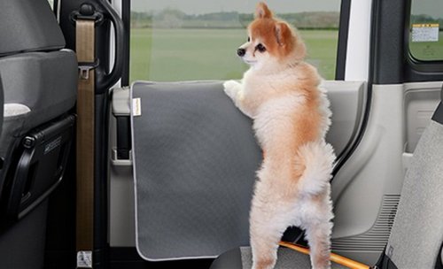 Honda Built The ZR-V’s Teeth In, Then Sold You A Kit To Pull Them Out