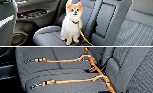 Honda Built The ZR-V’s Teeth In, Then Sold You A Kit To Pull Them Out