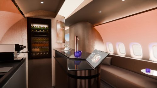 A Standard Airbus A321 Carries 220 Passengers, BMW’s Pampers 28 In 14 Suites