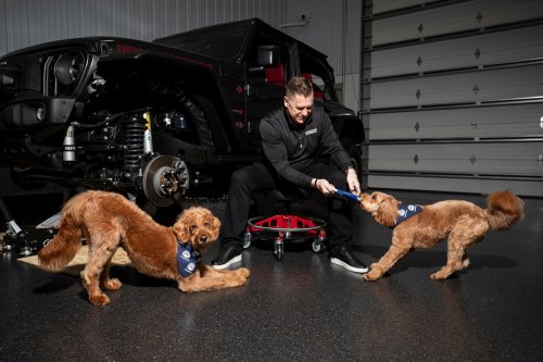 Stellantis Launches Mopaw, It’s Mopar For Pets
