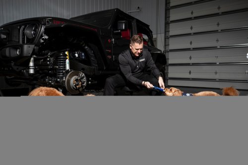 Stellantis Launches Mopaw, It’s Mopar For Pets