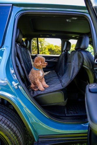 Stellantis Launches Mopaw, It’s Mopar For Pets