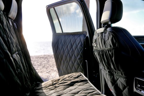 Stellantis Launches Mopaw, It’s Mopar For Pets