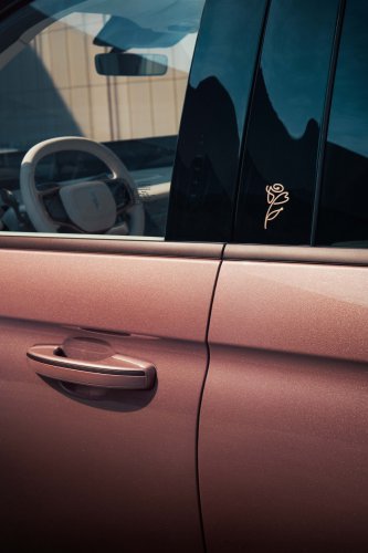 Lincoln Gave Serena Williams A Navigator Money Cannot Buy