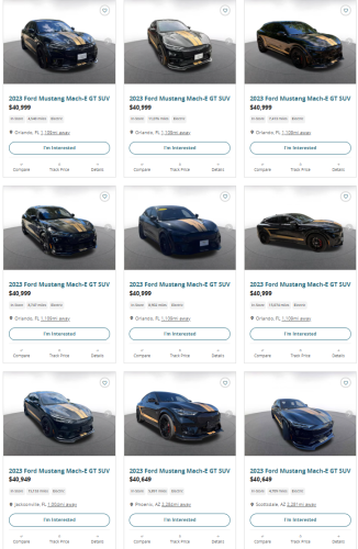 Hertz Wanted $65K For Its Shelby Mach-Es, Now It Will Take Almost Anything