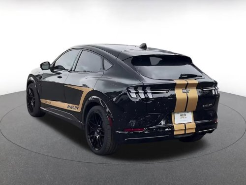 Hertz Wanted $65K For Its Shelby Mach-Es, Now It Will Take Almost Anything