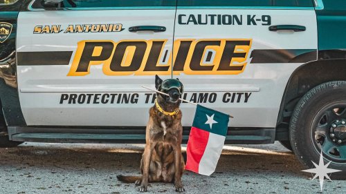 Texas Cop With A Need For Speed Hit 118 MPH, Now He’s Out Of A Job