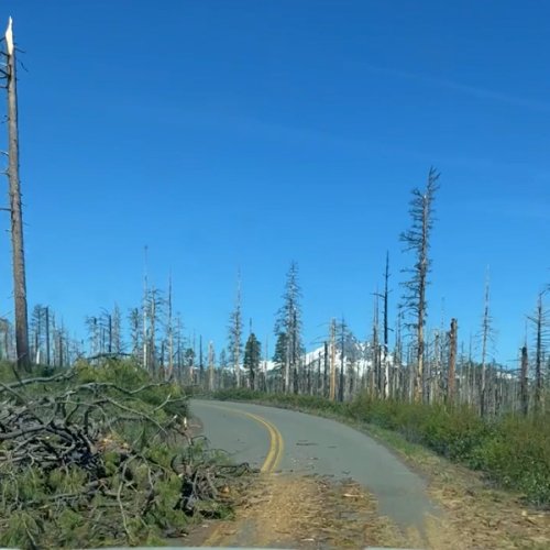 Oregon Fed Up With Cyclists Sneaking Past Closed Highway And Riding Into Chainsaws