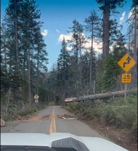 Oregon Fed Up With Cyclists Sneaking Past Closed Highway And Riding Into Chainsaws