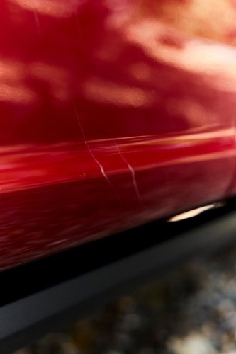 Ford Hired An 800-Pound Bear To Break Into Its New F-150