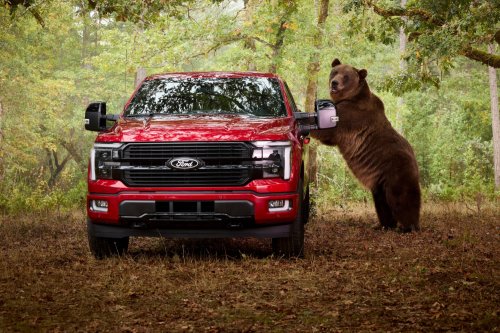 Ford, Ford F-150, Ford Hired An 800-Pound Bear To Break Into Its New F-150