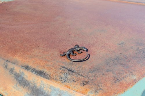 This Rusty $450,000 Chevy C10 Is Secretly A Brand-New Silverado