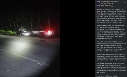 Sovereign Citizen Rejects The Cop’s Authority, The PIT Maneuver Rejects Her Hyundai