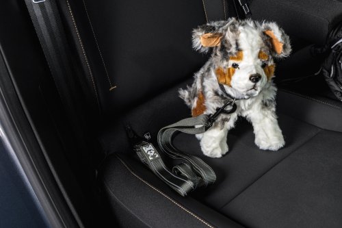 Dacia’s Sub-$28K Striker Claims To Be Three Cars At Once