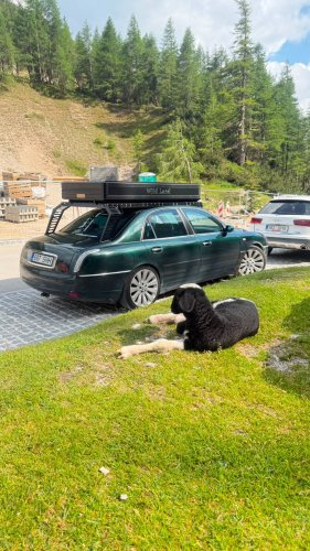 This Lancia Was Built For Italian Politicians, Now It Sleeps Two In A Field