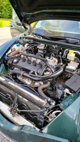 This Lancia Was Built For Italian Politicians, Now It Sleeps Two In A Field