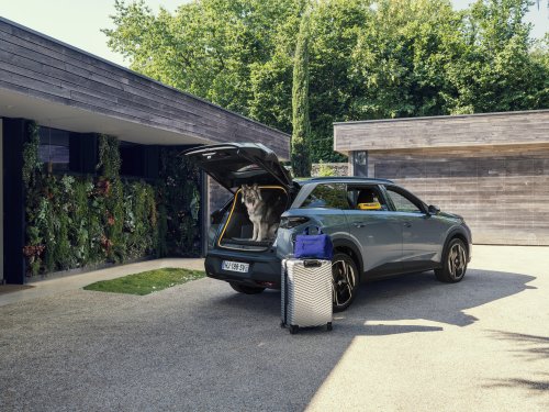 New Stellantis Concept Recalls Lost Dogs And Helps Them Get Back Inside