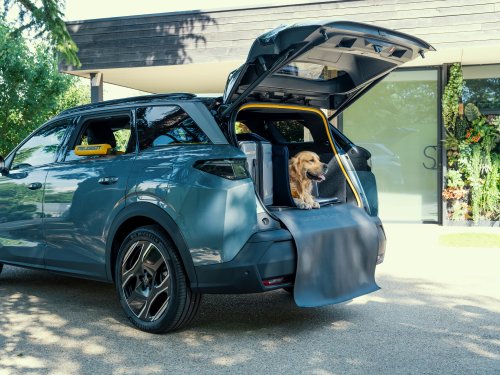 New Stellantis Concept Recalls Lost Dogs And Helps Them Get Back Inside