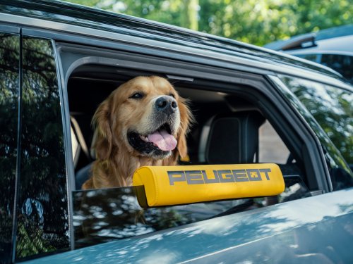 Stellantis, New Stellantis Concept Recalls Lost Dogs And Helps Them Get Back Inside