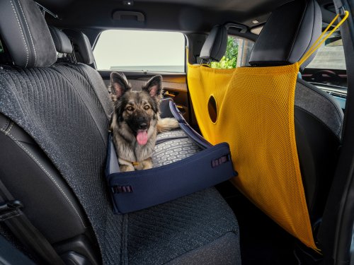 New Stellantis Concept Recalls Lost Dogs And Helps Them Get Back Inside