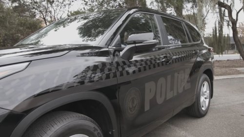 These Subarus And Land Cruisers Only Look Like Cop Cars After Dark