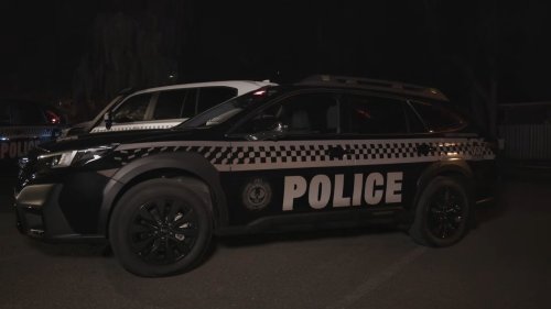 These Subarus And Land Cruisers Only Look Like Cop Cars After Dark
