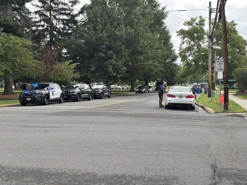 A Cop Dressed As A Shrub Wrote 74 Tickets In Six Hours