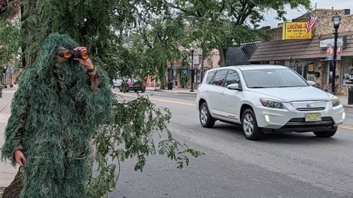 A Cop Dressed As A Shrub Wrote 74 Tickets In Six Hours