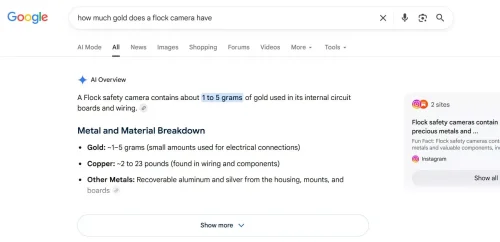 Google’s AI Told People Flock Cameras Are Stuffed With Gold. They Aren’t