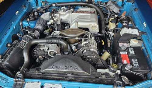 This 66-Mile Mustang Cobra Is Still Waiting To Meet Its First Ditch